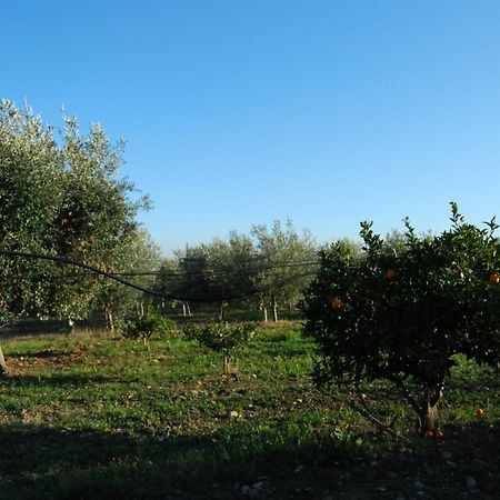 Agriturismo - B&B "La Funicolare" Francavilla Marittima Exteriér fotografie