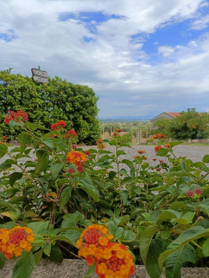 Agriturismo - B&B "La Funicolare" Francavilla Marittima Exteriér fotografie