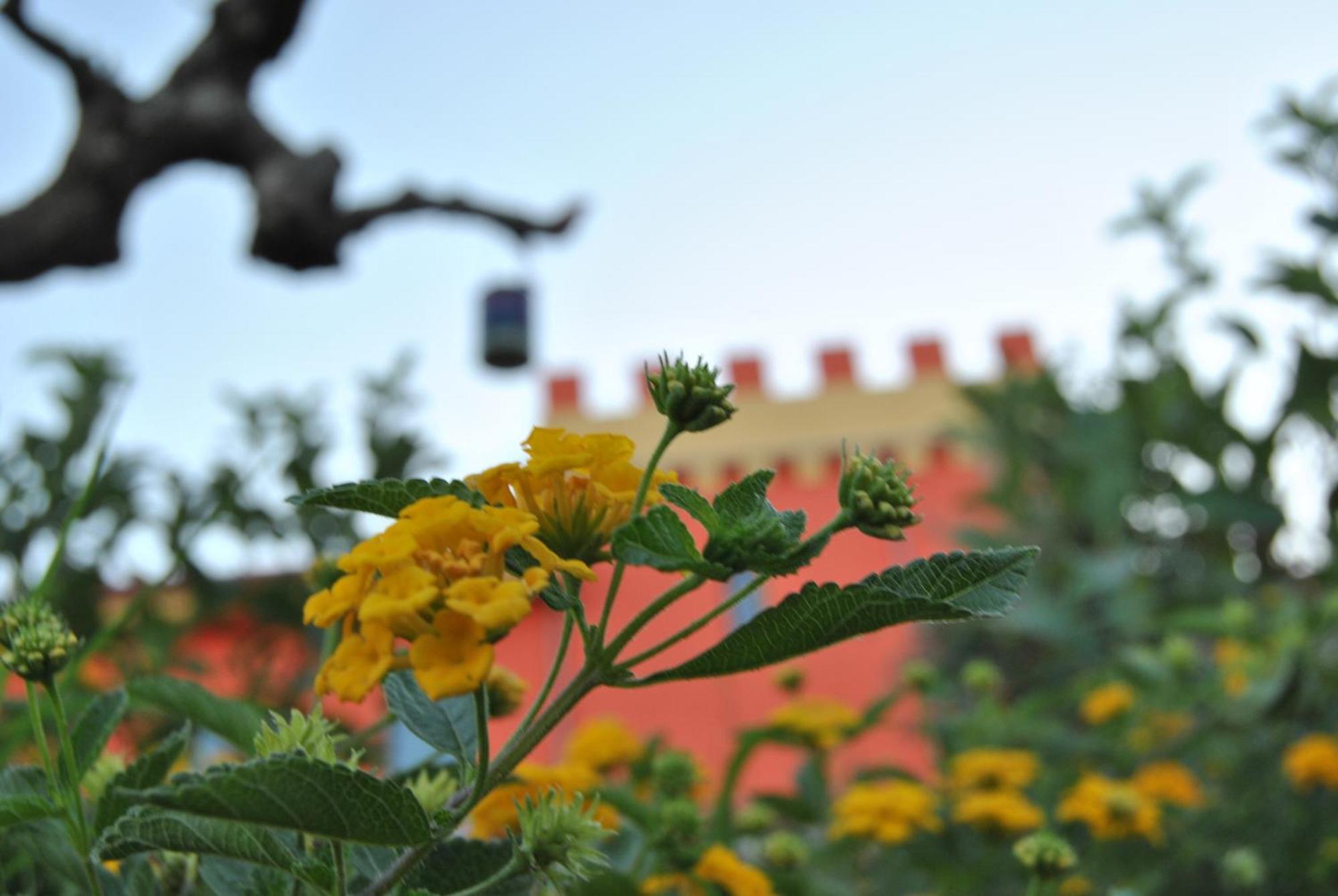 Agriturismo - B&B "La Funicolare" Francavilla Marittima Exteriér fotografie
